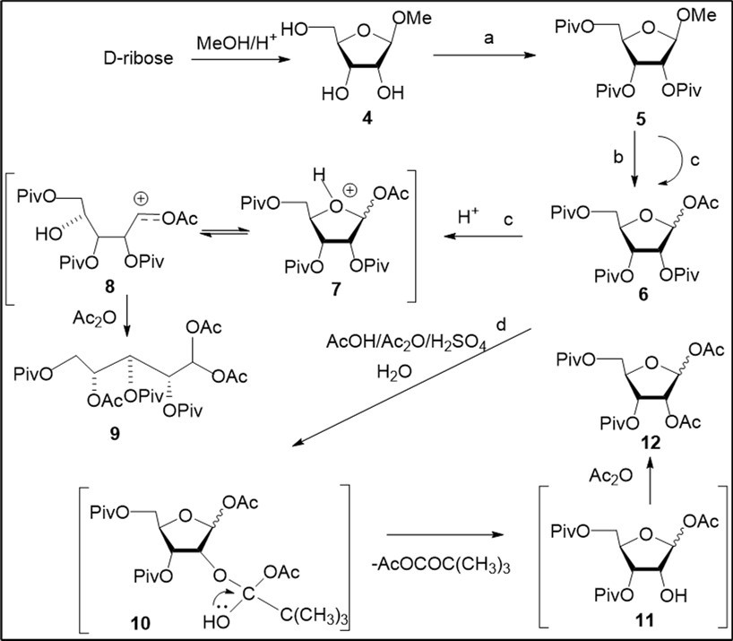  Study of acetolysis reaction of pivaloylated methyl D-ribofuranoside 5 and  proposed mechanism for the formation of the diacetate 12. Reagents and conditions: a) ref. 21, 89%; b) AcOH, Ac2O, H2SO4 (12.6:1.6 :1.0, vol), 5.2% H2SO4, rt, 3-4 h, 6, 20-41%; 12, 21-45%; c) AcOH, Ac2O, 9.6% H2SO4 (8.0:1.3:1.0, vol), 24 h, rt, 6, 68%; 9, 10%; d) AcOH, Ac2O, H2SO4 (8.05:1.0:1.1, ratio), 10.0% H2SO4 rt, 5 h, H2O, 90 min, 12, 72%;