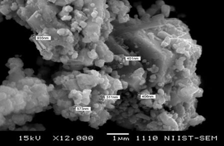 SEM image of Yashad (Zinc based) bhasma showing particles of nanoscale dimensions 52.