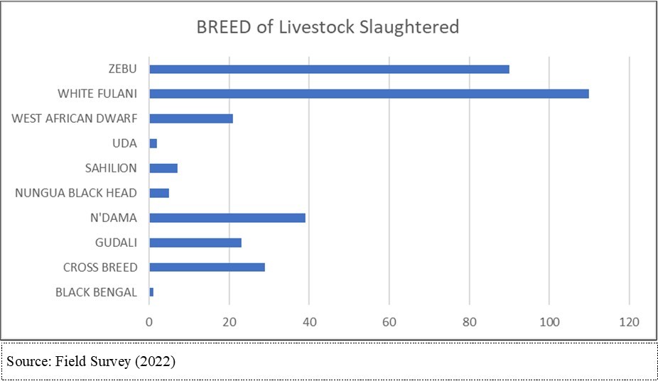 Breeds normally slaughtered