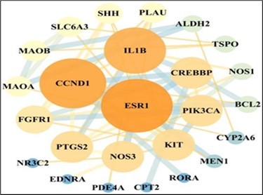 Protein-protein interaction network