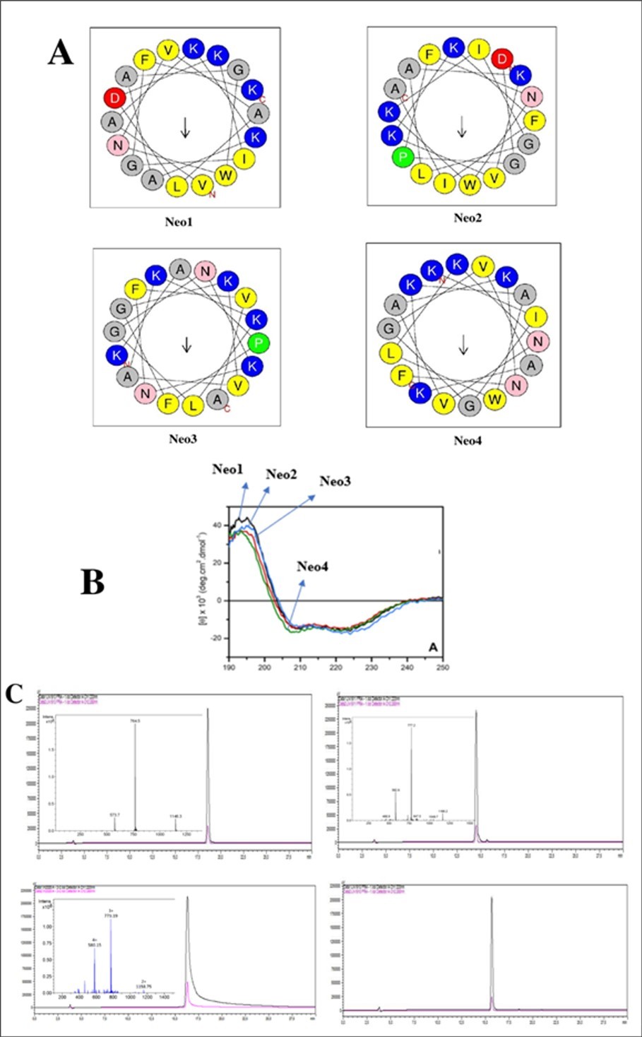 Figure 1. A. Schiffer-Edmundson projection of differents Neo peptides, B. CD spectra of peptides at a concentration of 80 µmol L−1 in 0.8 mmol L−1 of LUVs, C. Chromatogram HPLC et LCMS of Neo's peptides