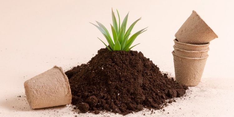 Article: Partial Substitution of Mineral Fertilizers with Organic Fertilizers to Increase Yield and Profitability of Irrigated Lowland Rice Cultivation